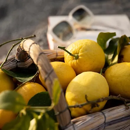 Eden Roc - The Leading Of The World Hotel